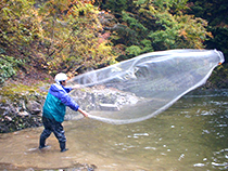 魚類調査