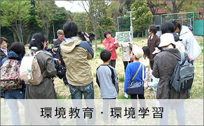 東京都保全地域環境調査