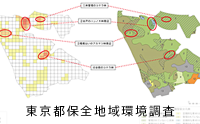 東京都保全地域環境調査